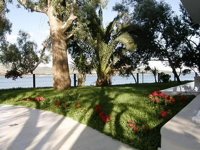 Tzeni Apartament Ligia