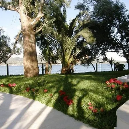 Tzeni Διαμέρισμα Λυγιά