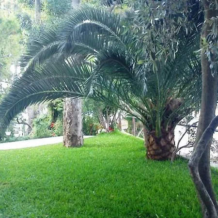 Apartment Tzeni