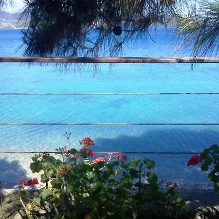 Tzeni Διαμέρισμα Λυγιά